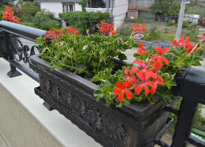 Dona Apartment Tschernomorez