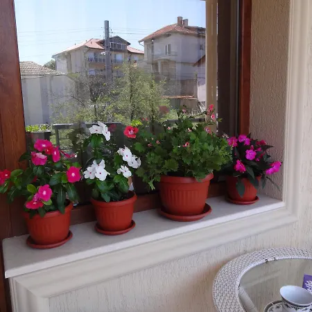 Apartament Dona *