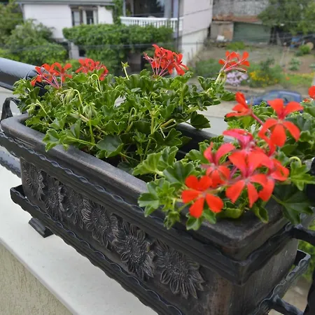 Dona 아파트 체르노모레츠