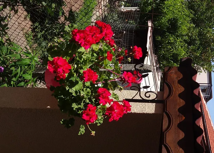 Apartament Dona Czernomorec