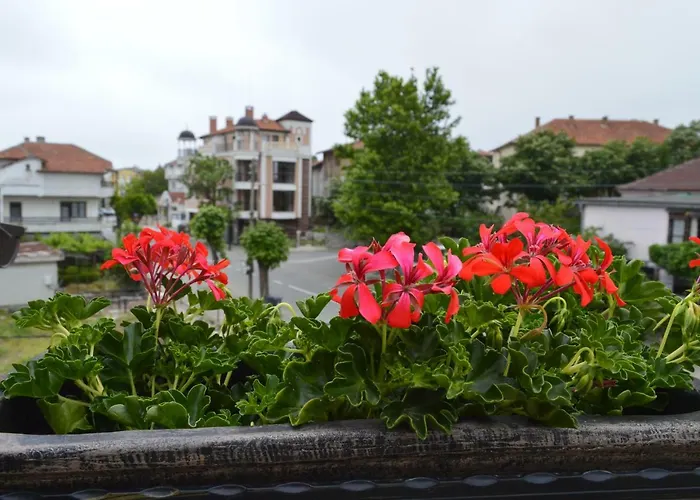 Dona Apartament Czernomorec